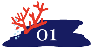 わんちゃんのストレスはできるだけ少なく