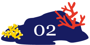 日々のアドバイスも行います