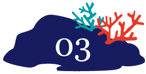 “Trimming Salon Coral（トリミングサロンコーラル）”は電話またはLINEでのご予約を受け付けています。