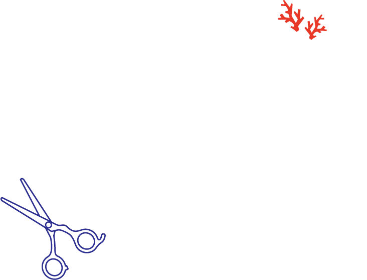 Trimming Salon Coral