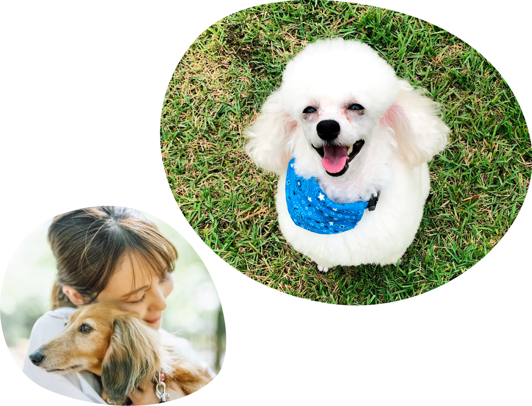 Trimming Salon Coral