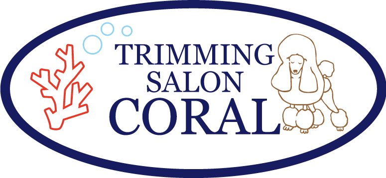 小型犬におすすめのトリミングサロンをお探しなら大野市の当店へ。人気のメニューを豊富にご用意！